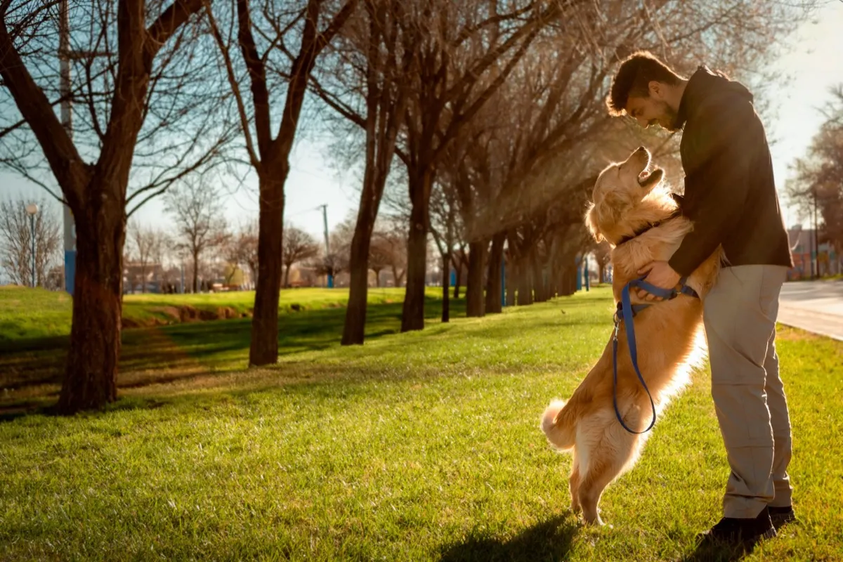 Dog owner using PAWSCHECK to track canine gait and mobility in the park