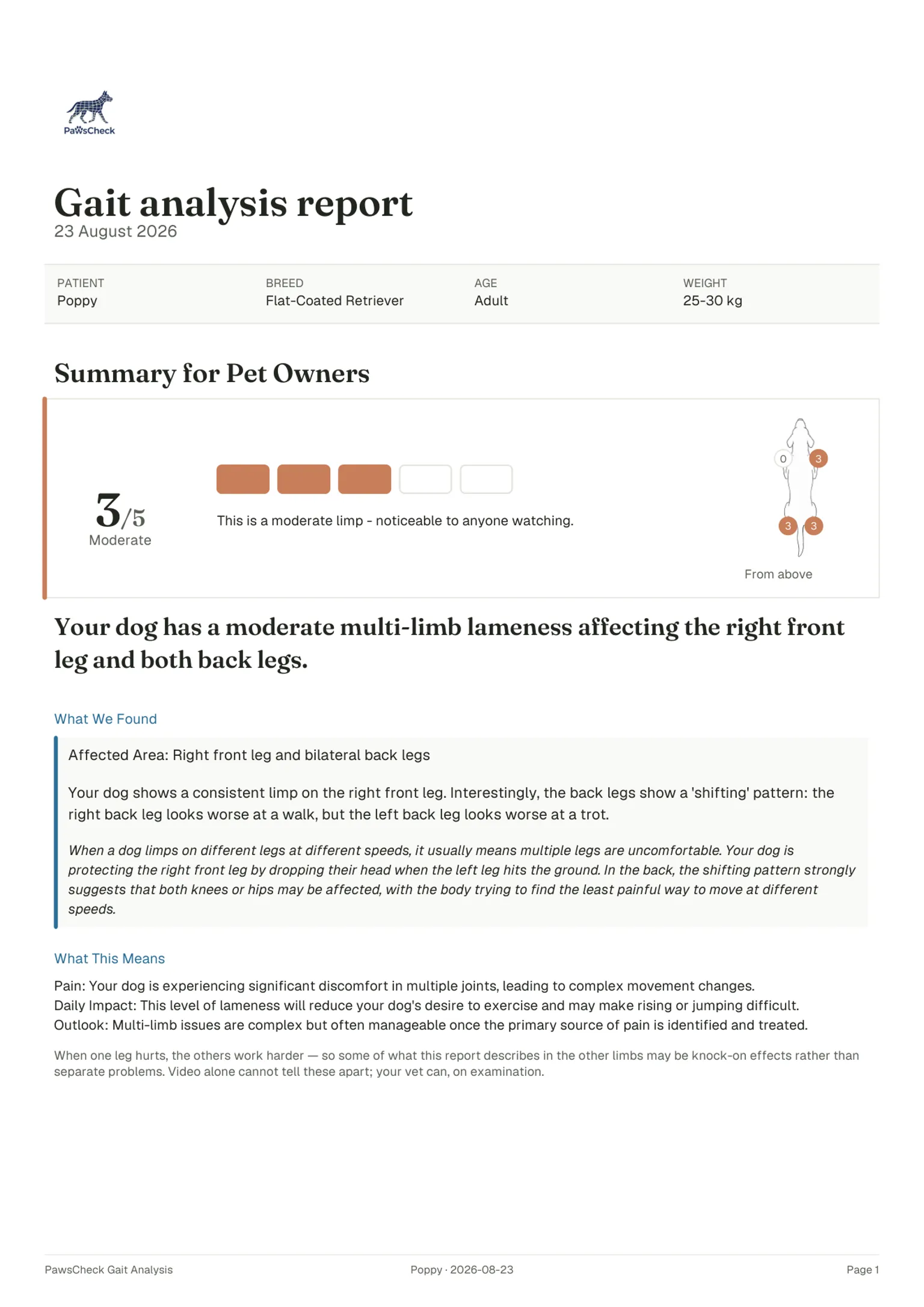 Report page: owner summary with grade, gauge and marked dog diagram