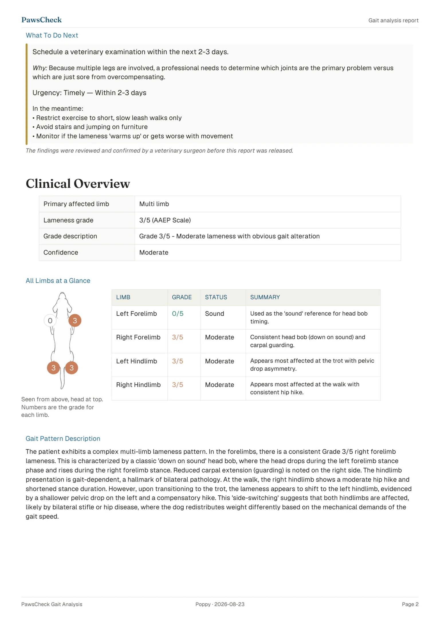 Report page: what to do next and clinical overview with per-limb grades