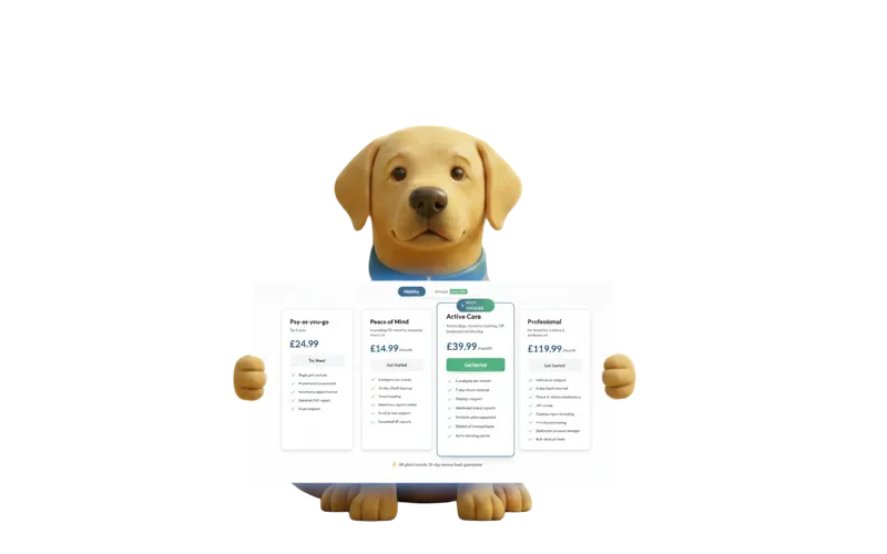 Find the right plan for you.